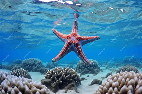 Discovering the Enigmatic Beauty of the Ocean's Lustrous Depths