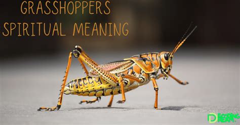 Discovering the Enigmatic Messages: Decoding the Significance of Dreaming about a Pale Grasshopper