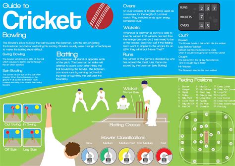 Discovering the Importance and Influence of Infant Cricket Visions