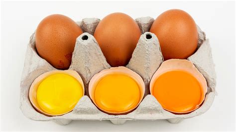 Discovering the Intriguing Significances Behind the Uncooked Egg Yolk