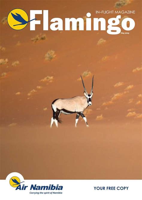 Discovering the Life Story of The Cuddly Antelope