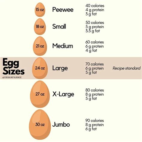 Discovering the Market Potential for Your Eggs