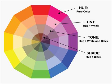 Discovering the Perfect Hue: Unveiling Your Ideal Shade