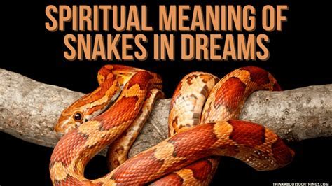 Discovering the Profound Significance of Small Serpents: Exploring the Depths of Dream Analysis