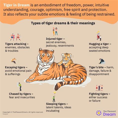 Discovering the Tiger as a Spiritual Guide in Dream Interpretation