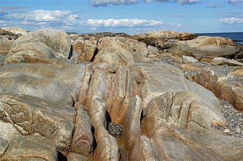 Discovering the Wild Shoreline