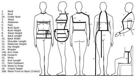 Discussion about Sizzle’s body measurements