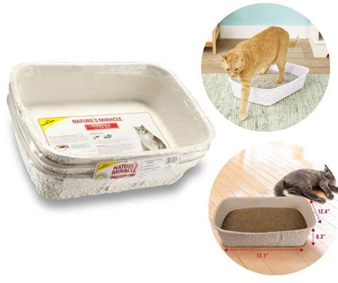 Disposable Litter Boxes: Ideal for Travel or Busy Lifestyles