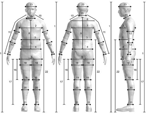 Distinctive Characteristics and Body Measurements