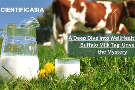 Dive into the History of Buffalo Milk: An Ancient Delicacy Revealed