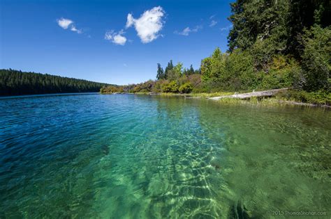 Dive into the Pristine Waters of Clear Lake