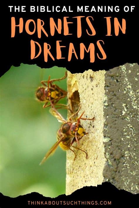 Diverse Explanations of Dreams Featuring Bees and Hornets