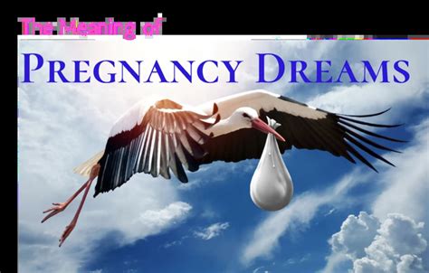 Diverse Interpretations of Dreams Regarding the Pregnancy of One's Mother's Sister