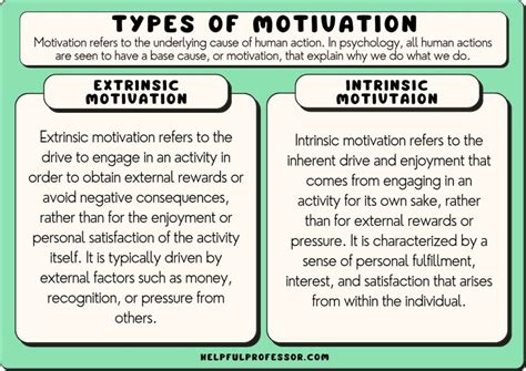 Diverse Types of Shoplifting Desires: Examining Motives and Triggers