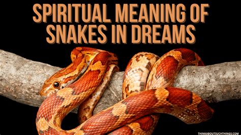 Divine Communications: The Sacred Meanings of Serpent Dreams