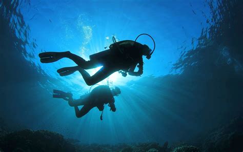 Diving Deeper: Exploring the Human Fascination with the Ocean