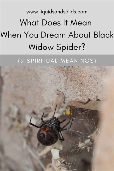 Diving into Dream Symbols: Unveiling the Mysteries of Spider Webs