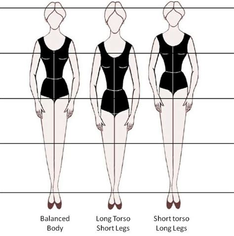 Diving into Paula Harlow's Vertical Measurement and Body Shape