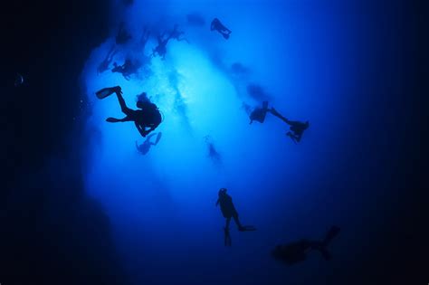 Diving into the Depths: A Portal to Unexplored Insights