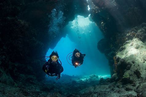 Diving into the Depths: The Unexplored World of the Ocean