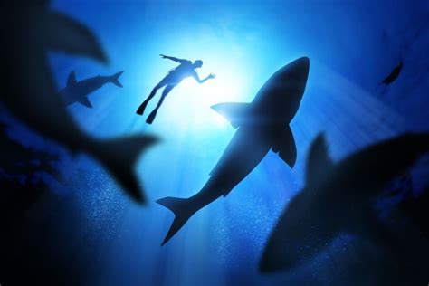 Diving into the Depths: Unraveling the Symbolism of Shark Dreams