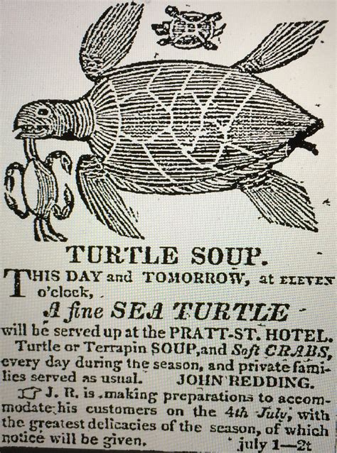 Diving into the History of Turtle Soup