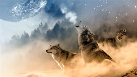 Diving into the Meaning of Dreaming about Wolves