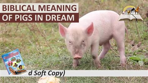 Diving into the Meaning of Swine in Dreams