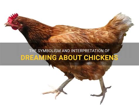 Diving into the Symbolic Interpretations of Dreaming About Poultry