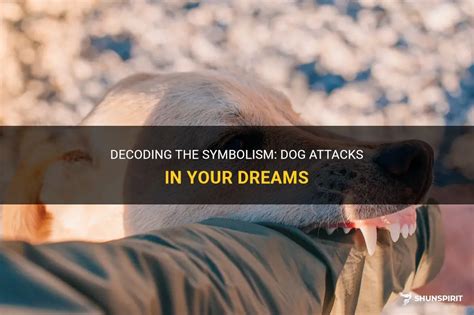 Dog Attacks: Symbolism in Dreams