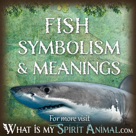 Dog Fish in Ancient Cultures: Symbolism and Significance