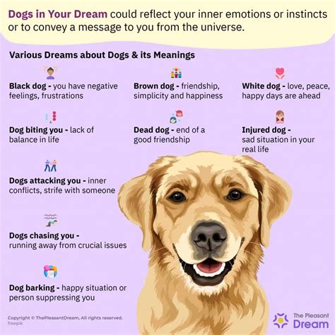 Dog symbolism in dreams: What does it represent?