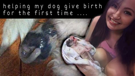 Dogs Giving Birth: A Powerful Symbol of Creation