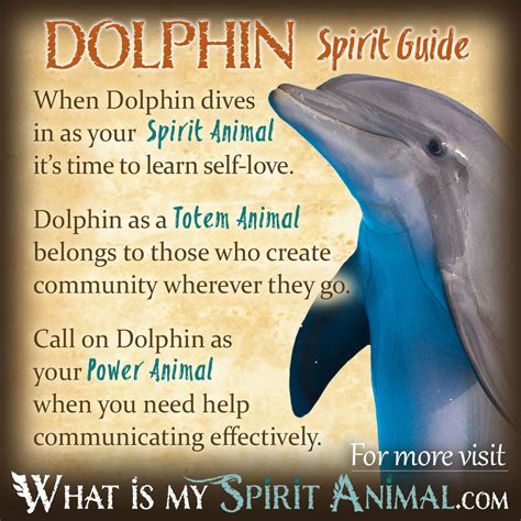 Dolphin Symbolism: A Reflection of Our Profound Desires and Emotions