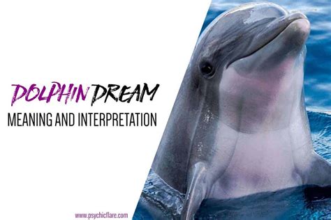 Dolphins as Guides: Interpreting Their Message in Dreams