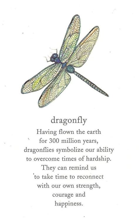 Dragonflies as Symbols of Resilience and Adaptability