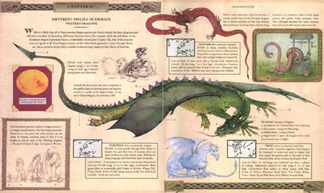 Dragonology: Revealing the Scientific Exploration of Mythical Creatures