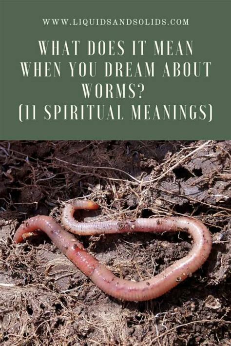 Dream Analysis: Deciphering the Symbolic Meaning of Worms in Dreams