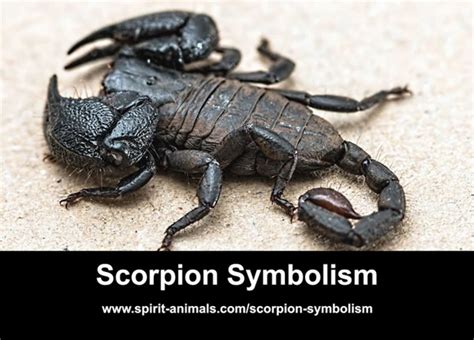 Dream Analysis Techniques: Decoding the Symbolism of Scorpion Bites