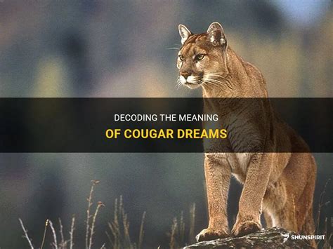 Dream Interpretation: Decoding the Symbolism of Chasing a Puma