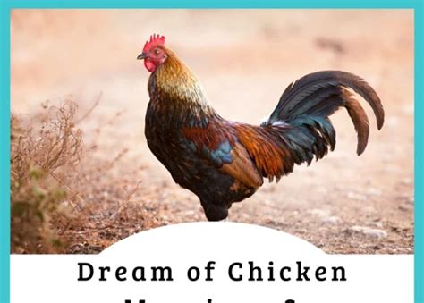 Dream Interpretation: Decoding the Symbolism of Slaughtering Poultry