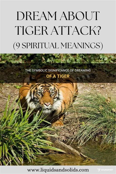 Dream Interpretation: Significance of Tiger Assaults in Dreams