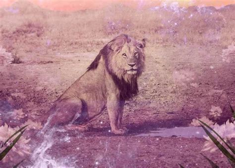 Dream Interpretation: Unveiling the Significance of Observing a Majestic Lion