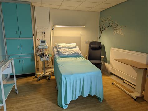 Dreaming Big: Designing the Ultimate Labour Room for a Memorable Birth Experience