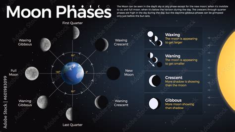 Dreaming and Moon Phases: Understanding the Influence of Lunar Cycles on our Dreams