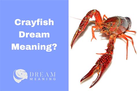 Dreaming of Catching a Crayfish: Deciphering the Significance