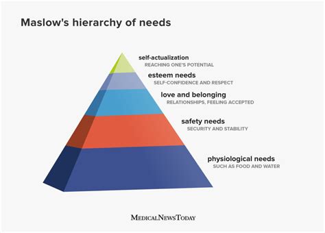 Dreaming of Control: Unveiling the Need for Order and Structure