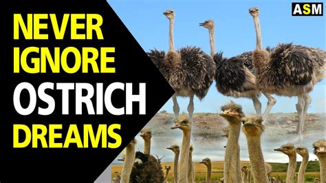 Dreaming of Conversing Ostriches: Is It a Subconscious Communication?