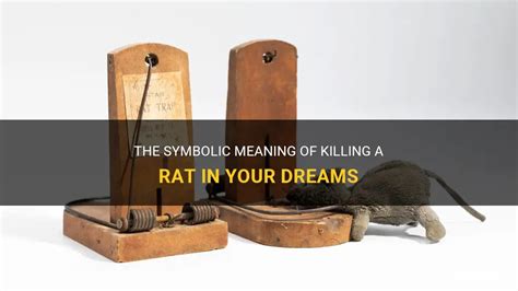 Dreaming of Killing Rats and Mice: A Sign of Inner Transformation