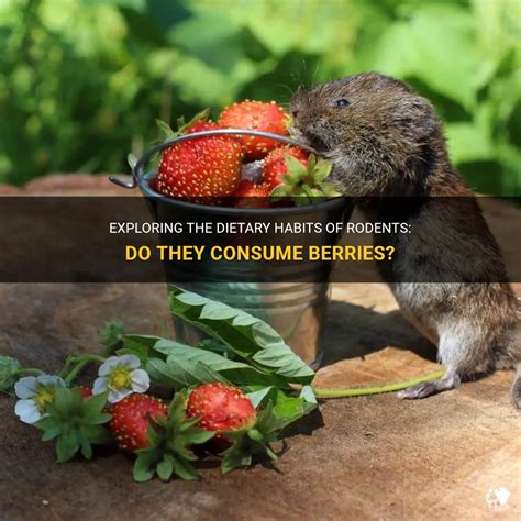 Dreaming of Miniature Berries and Your Dietary Habits: Understanding the Relationship